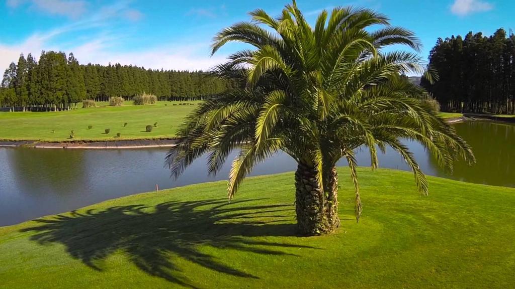 Casa Da Beija - House Azores Ferienhaus Furnas (Azores)